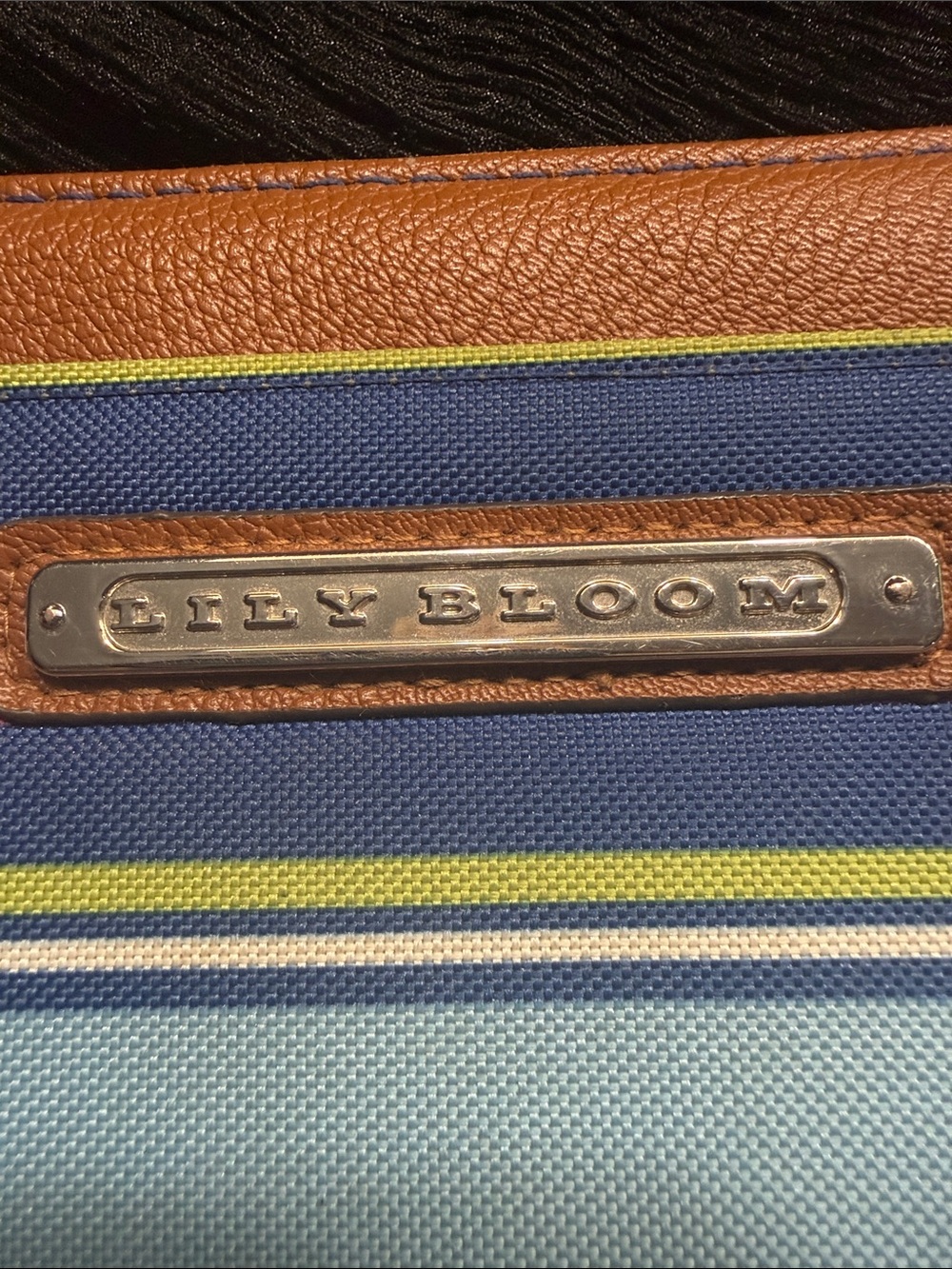 Lily Bloom Brown and Blue Striped Zip Wallet - Picture 2 of 5